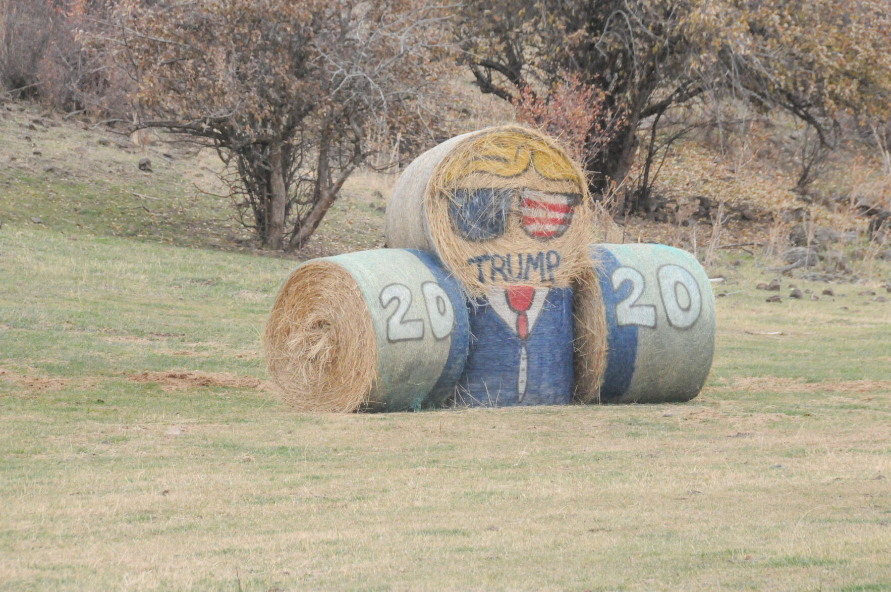 Hay! Here’s A Ton Of Trump Support
